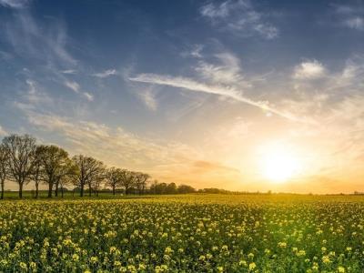 Qualità dell’Aria in Emilia-Romagna foto 