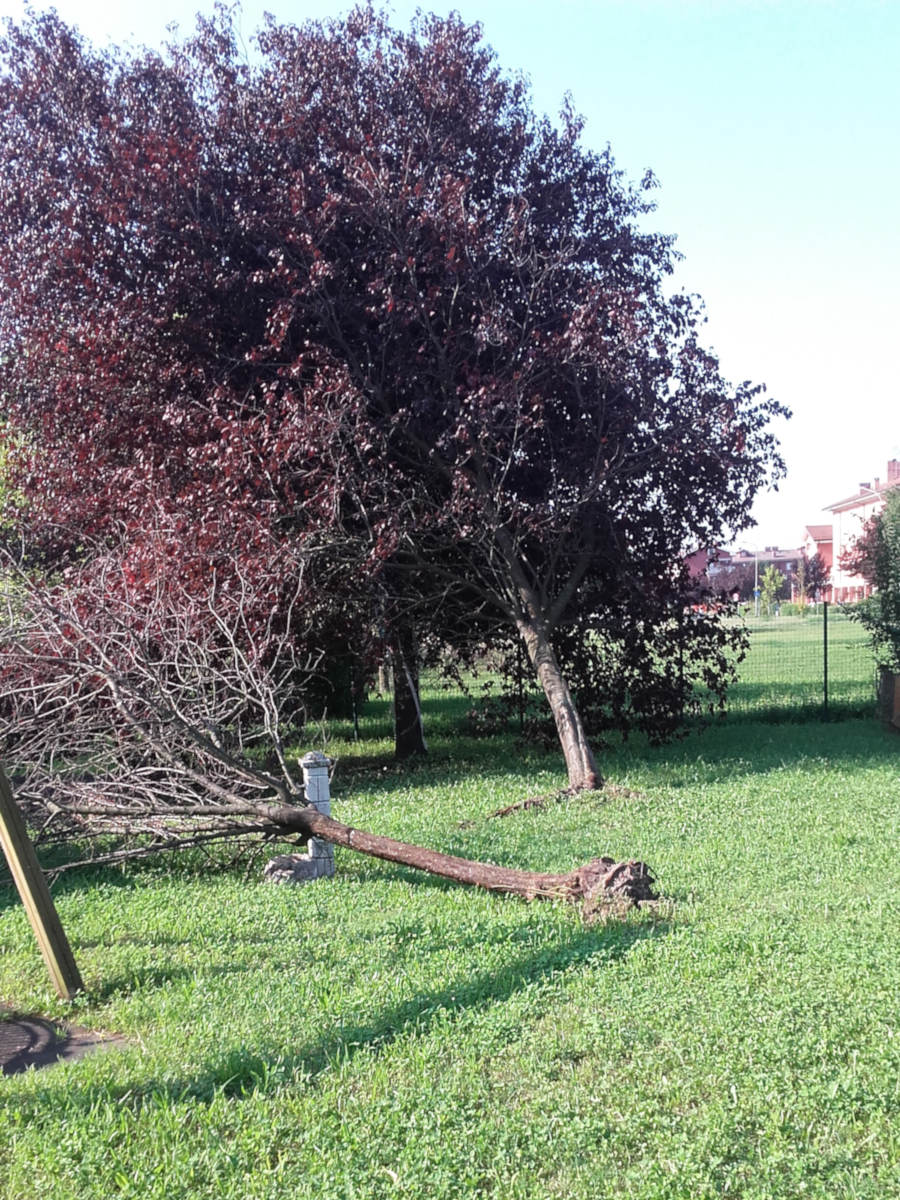 Tempeste di agosto